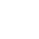 Tiktok icon